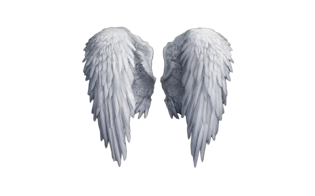 Angelic Wings Png