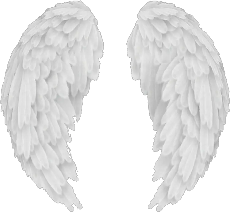 Angel Wings Transparent Background Png